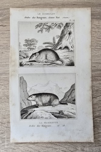 Gravure ancienne sur cuivre