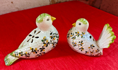 Couple colombes pigeons