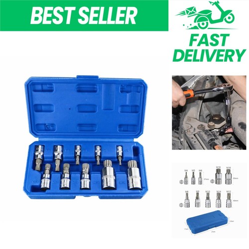 Coffret douilles xzn - 10, torx