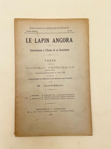 Llovérol le lapin angora - -,