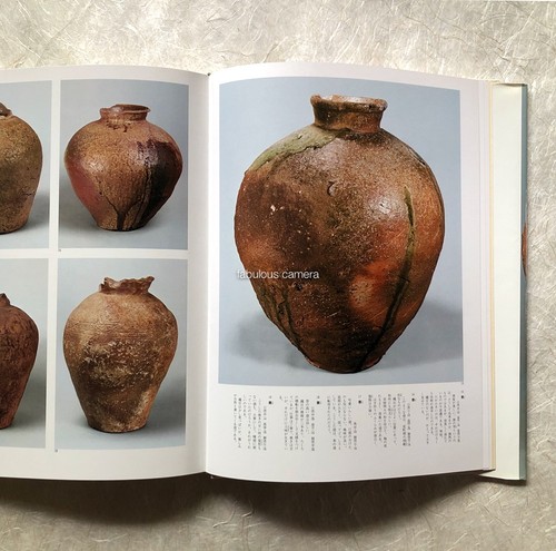 Shigaraki ware iga chojiro - iga,