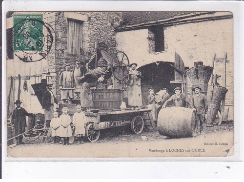 Loches sur ource vendange - loches-sur-ource:,