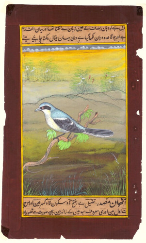 Main peinture miniature - peinture, de