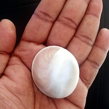 Original Gomati Chakra Grand