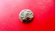 Bronze Gaulois - SÉNONS