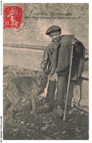 Bddp7 0637 les pyrenees - bddp7-0637-65,