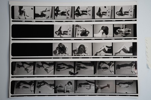 Photo argentique planche - photo,