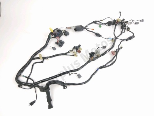 Faisceau electrique honda - faisceau, cbr