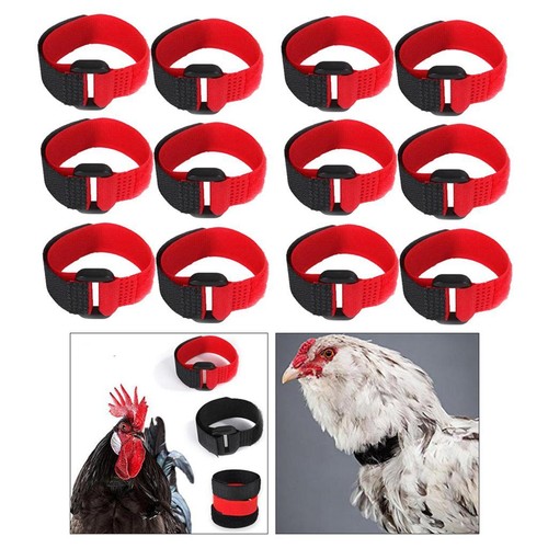 12pcs collier coq sans - collier,