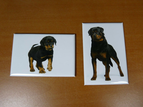 Lot magnets aimants 7 8 - /, 7,8