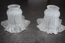 2 tulipes plissées pour luminaire