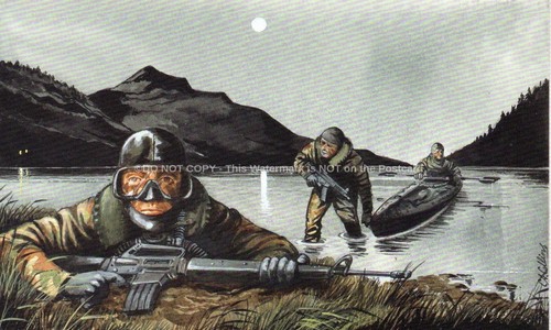 The royal marines special - marines,