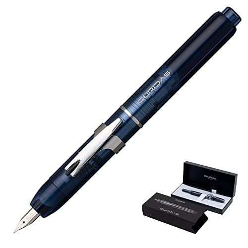 Stylo plume platine curidus - stylo,