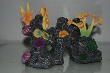 Aquarium Récif & Corail