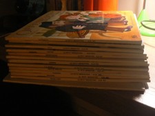 lot de 13 pochettes Album