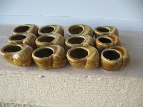 Coquilles à escargeots - 12,