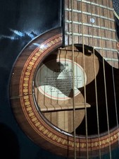 YAMAHA APX-6A electric