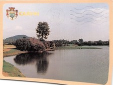 62-CARVIN-N�3485-B/0303