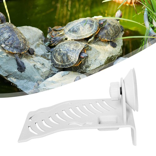 Tortue décorative basking - tortue,
