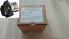 Replacement Projector Lamp