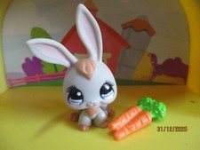 Petshop Lapin #1036 +