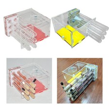 Nid d'habitat pour fourmis