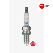 Spark Plug NGK 7795