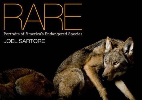 Joel sartore national - joel,