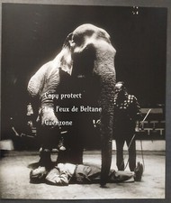 JEAN PIERRE CASSEL ELEPHANT en