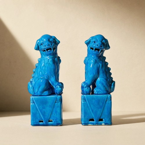 Paire chiens fô bleu - de,