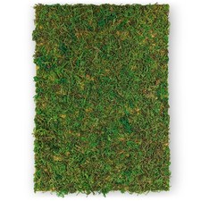 Plaque de mousse verte A4