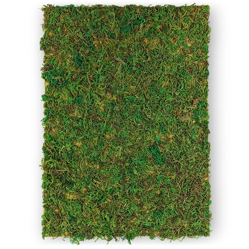Plaque mousse verte a4 - mousse,