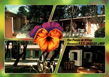 Argelès-sur-Mer - Village de vacances PTT avec pensée