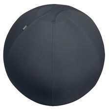 Ballon exercice leitz ergo - ballon,