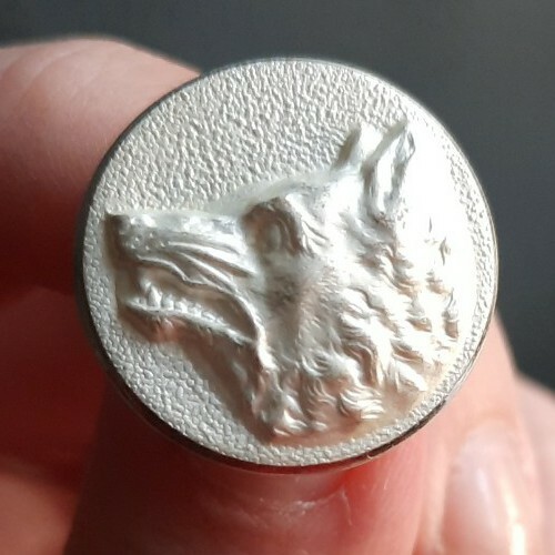 E05t09tête loup blanc - e05t09tête,