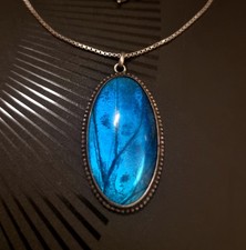 Ancien Collier Pendentif Real Morpho Butterfly Pendant Necklace Beautiful