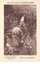 21 . n°105843 .nuits saint georges .vin .jus de raisin challand .scene de ven