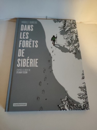 Roman graphique dans les - -,