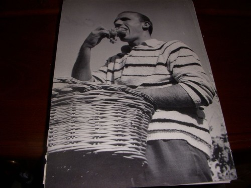 Cyclisme coupure livre c061 - cyclisme,