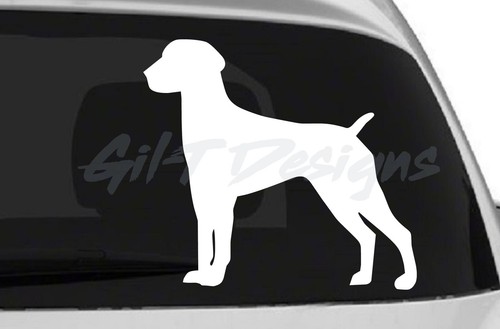 German shorthaired pointer 4 - german,