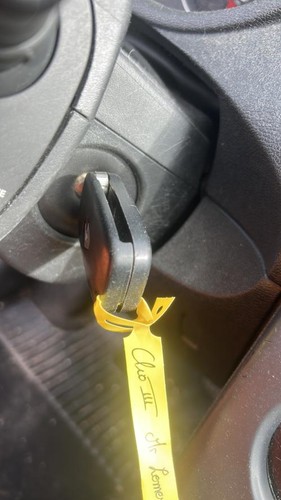 Neiman renault clio phase - 3, 2