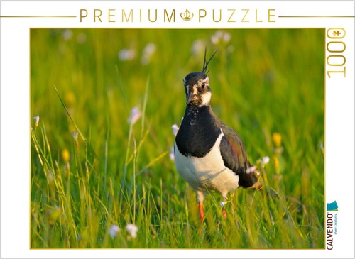 Calvendo puzzle kiebitz - calvendo,