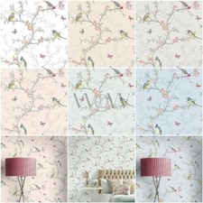 Phoebe Oiseaux Papier Peint -