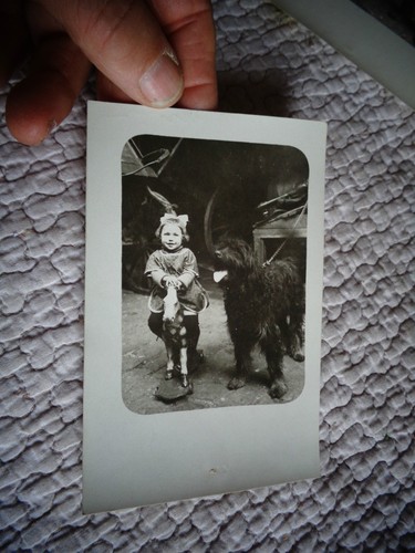 Fillette sur cheval - sur, à