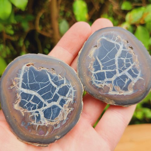 Septaria nodule poli maroc - nodule,