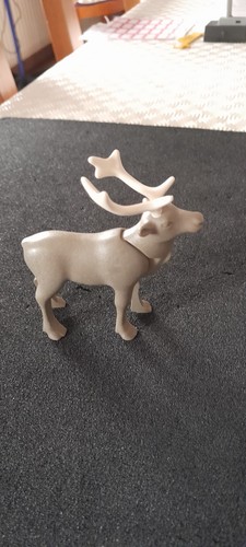 Animal renne montagne foret - animal,