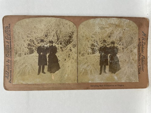 Stereoview stereoscope - stereoview,