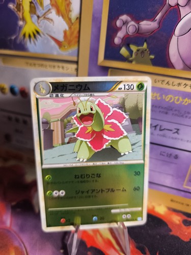 Carte pokemon card holo - carte,