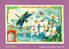 CHROMO LIEBIG : FLEURS ORCHIDÉES & LIBELLULES, PAYSAGE, NATURE    -P10