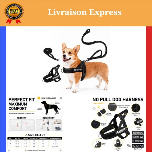 Harnais chien anti - chien, traction